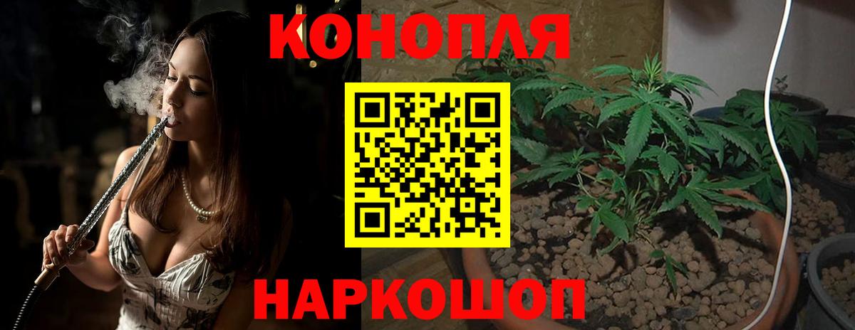 Шишки марихуана сатива Балашиха